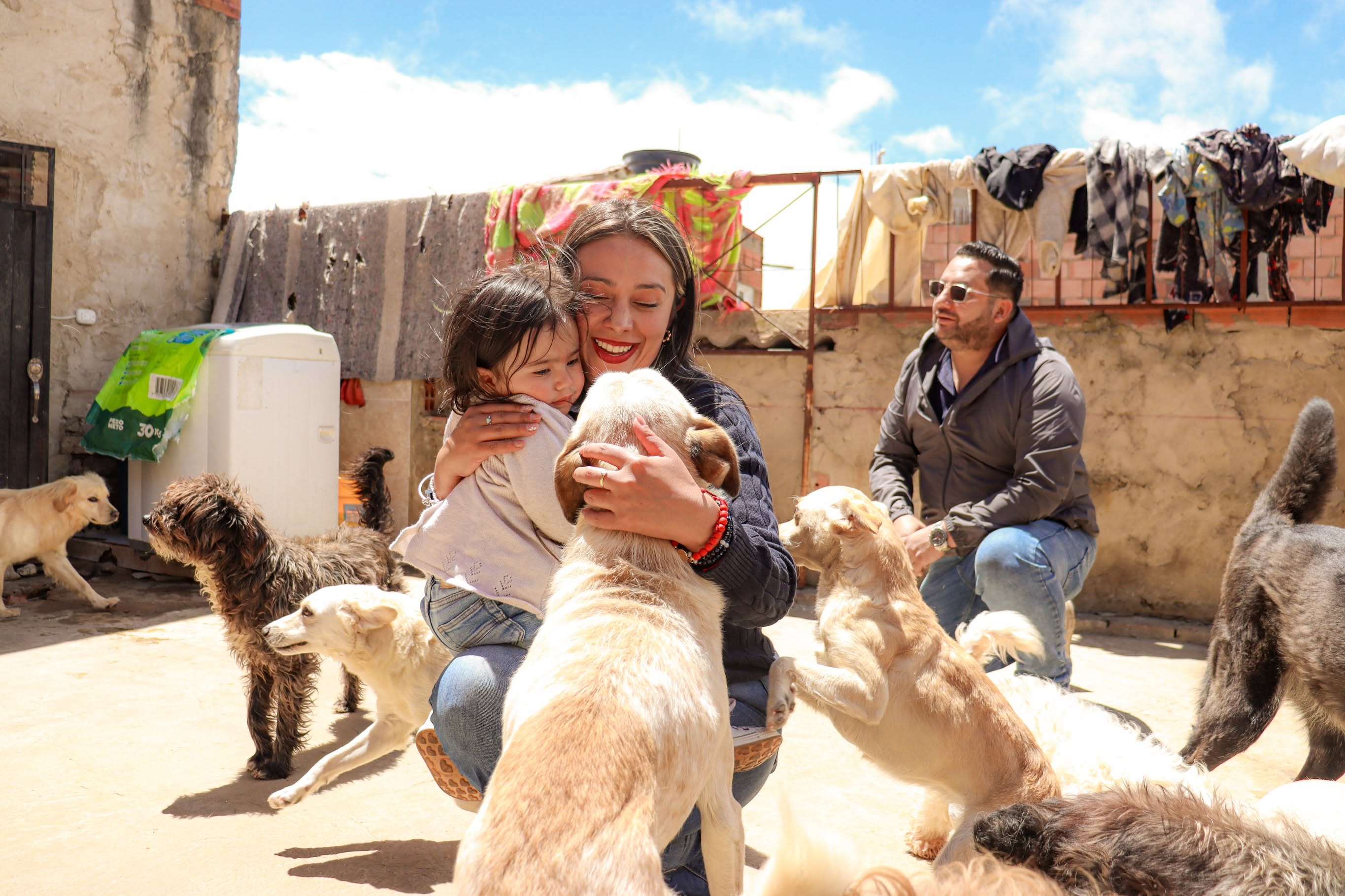 Protección animal en Tunja